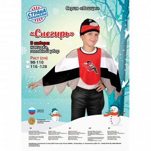 Карнавальный костюм «Снегирь», накидка, шапка, р. 28-30, рост 98-110 см