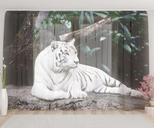 Фототюль Белый тигр