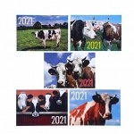 Карманный календарь &quot;Символ года - 9&quot; 2021 год, 7 х 10 см, МИКС