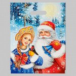 Пакет &quot;&quot;Дед Мороз и Снегурочка&quot;&quot;, полиэтиленовый с вырубной ручкой, 31 х 40 см, 60 мкм