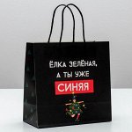 Пакет подарочный «А ты уже синяя», 22 - 22 - 11 см