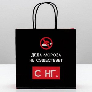 Пакет подарочный «Деда мороза не существует», 22 ? 22 ? 11 см