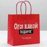 Пакет подарочный «Ого! Какой подарок», 22 - 22 - 11 см