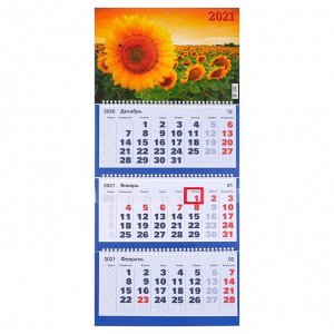 Календари квартальные трио "Цветы, 2021 - 2" 31 х 69 см