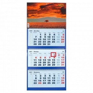 Календари квартальные трио "Закат, 2021- 1" 31 х 69 см