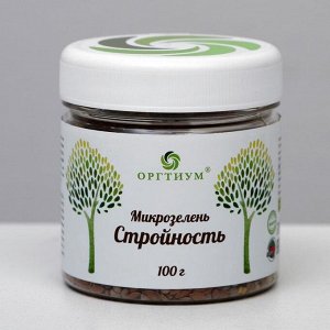 Наборы для проращивания + семена "Стройность", 100 гр