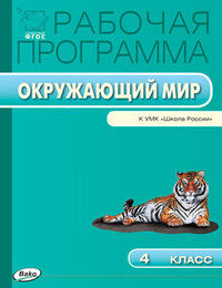 Рабочие программы ОКРУЖАЮЩИЙ МИР 4 КЛ к учеб ПЛЕШАКОВА ФГОС