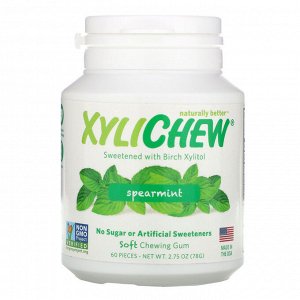 Xylichew, Spearmint, 60 Pieces, 2.75 oz (78 g)