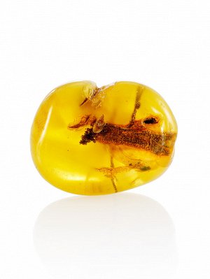 Натуральный янтарь медового цвета с растительным включением, 001308076