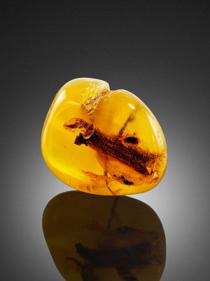 Натуральный янтарь медового цвета с растительным включением, 001308076