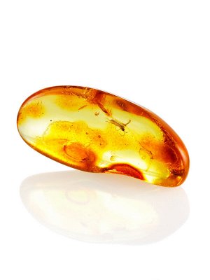 Удлинённый кусочек натурального балтийского янтаря лимонного цвета с инклюзом мушки, 001304156