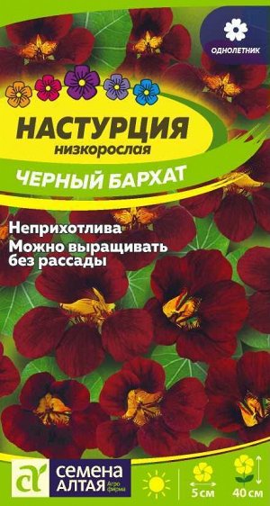 Цветы Настурция Черный бархат/Сем Алт/цп 1 гр.