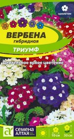 Цветы Вербена Триумф гибридная/Сем Алт/цп 0,1 гр.