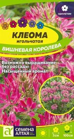 Цветы Клеома Вишневая Королева/Сем Алт/цп 0,3 г
