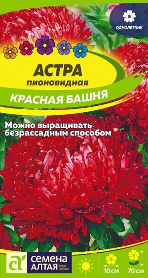 Астра Красная Башня пионовидная/Сем Алт/цп 0,2 гр.