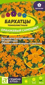 Бархатцы Оранжевый Самоцвет тонколистн./Сем Алт/цп 0,1 гр.