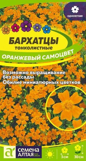 Цветы Бархатцы Оранжевый Самоцвет тонколистн./Сем Алт/цп 0,1 гр.