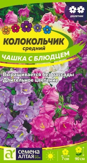 Цветы Колокольчик Чашка с Блюдцем/Сем Алт/цп 0,1 гр. двулетник