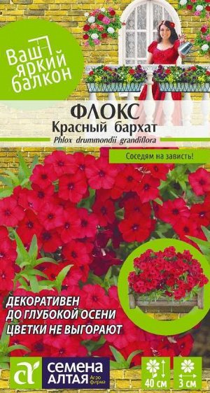 Флокс Красный Бархат друммонда/Сем Алт/цп 0,1 гр. Ваш яркий балкон