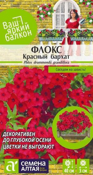 Флокс Красный Бархат друммонда/Сем Алт/цп 0,1 гр. Ваш яркий балкон