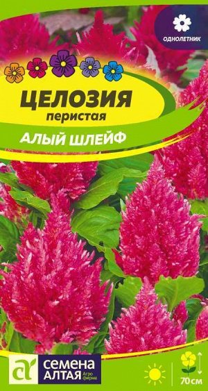 Цветы Целозия перистая Алый шлейф/Сем Алт/цп 0,2 гр.