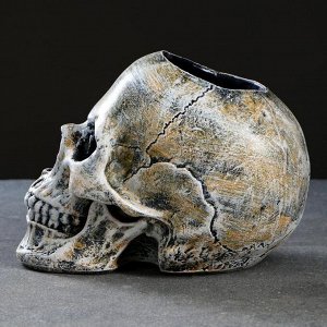 Ёршик для унитаза с подставкой «Череп», стальная ручка, 16x15x22 см, белый