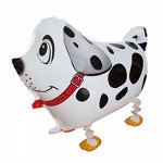 78-W-QX Шар-фигура ходячая, фольга, &quot;Собака. Далматин белый&quot;, 24&quot;/61 см (BRAVO)