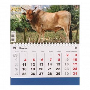 Календарь моно "Символ года-1" 2021 год, 20 - 24 см