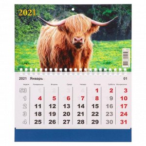 Календарь моно "Символ года-2" 2021 год, 20 - 24 см