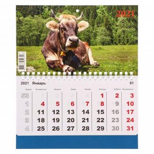 Календарь моно "Символ года-3" 2021 год, 20 - 24 см