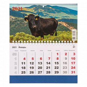 Календарь моно "Символ года-4" 2021 год, 20 - 24 см