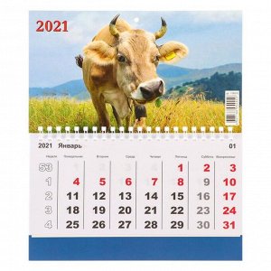 Календарь моно "Символ года-5" 2021 год, 20 - 24 см