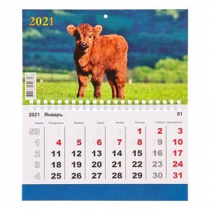 Календарь моно "Символ года-6" 2021 год, 20 - 24 см