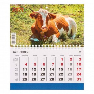Календарь моно "Символ года-7" 2021 год, 20 - 24 см