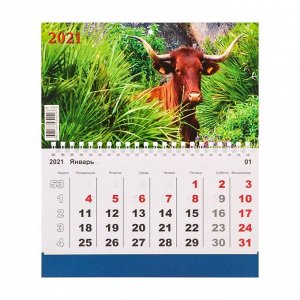 Календарь моно "Символ года-9" 2021 год, 20 - 24 см