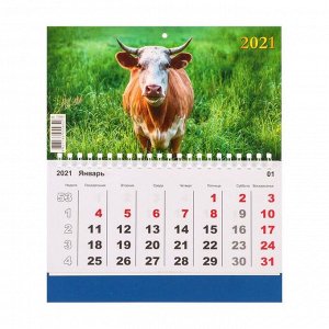 Календарь моно "Символ года-10" 2021 год, 20 - 24 см