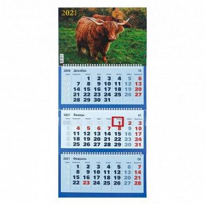 Календари квартальные трио "Символ года, 2021  - 18" 31 х 69 см