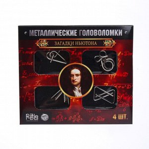 Головоломка металлическая "Загадки Ньютона" набор 4 шт.