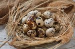 ЯЙЦО ПЕРЕПЕЛИНОЕ фермерское, 20 шт (в упаковке)