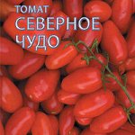 Томат Северное чудо красный, индет, черри