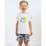 Комплект кулирка 672/435к ап для новорожденного