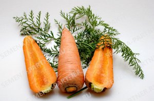 Семена Морковь Курода 1 гр.