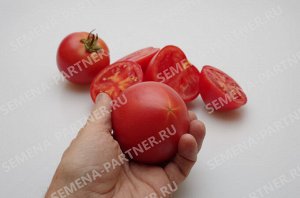 ПАРТНЕР Томат Леди Роуз F1 ( 2-ной пак.) / Гибриды биф-томатов с массой плода свыше 250 г