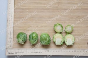 Семена Капуста брюссельская Касио  0,5 гр.