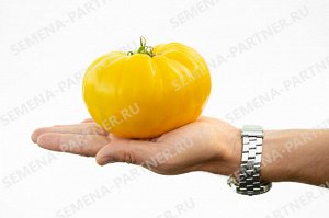 ПАРТНЕР Томат Прелесть Роузы (2-ной пак.) / Сорт томата