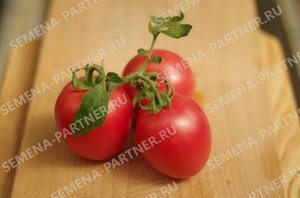 ПАРТНЕР Томат Камелот F1 ( 2-ной пак.) / Гибриды томата с розовыми плодами