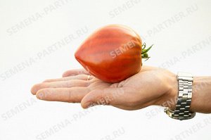 ПАРТНЕР Томат Фиолетовое Сердце (2-ной пак.) / Сорт томата