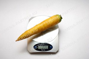 Семена Морковь столовая Еллоустоун ^(0,5Г)