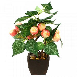 Декоративное дерево "Райское яблочко" h26см в горшке 7,5х7,5см h6,5см (Китай)