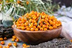 СИРОП из ОБЛЕПИХИ (бутылка 0,5 л)